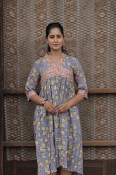 Neelambari Collared Dress