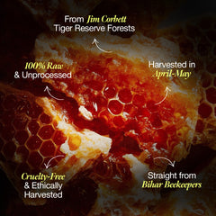 Daichi Forest Honey -  100% Raw & Unprocessed, Straight from beekeepers, Cruelty-free, No Sugar or Additives