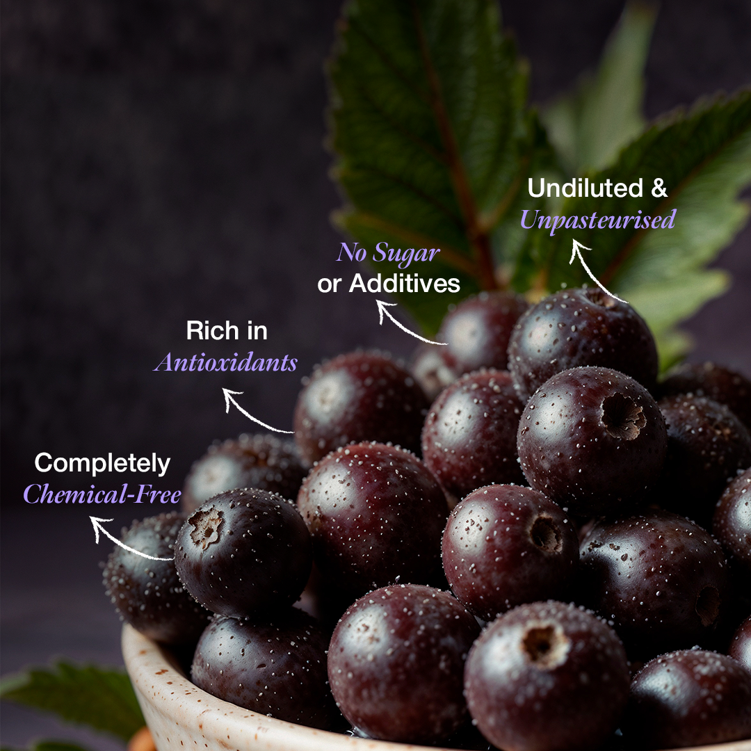 Daichi Jamun Honey -  100% Raw & Unprocessed, Straight from beekeepers, Cruelty-free, No Sugar or Additives