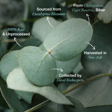 Daichi Eucalyptus Honey -  100% Raw & Unprocessed, Straight from beekeepers, Cruelty-free, No Sugar or Additives